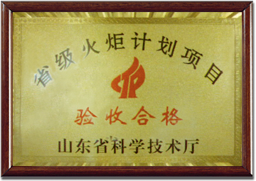 Xingguo Xinli Group
