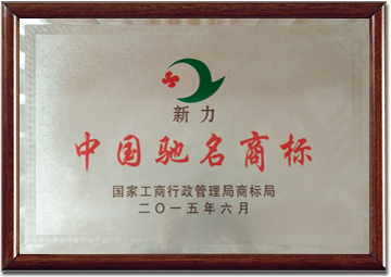Xingguo Xinli Group
